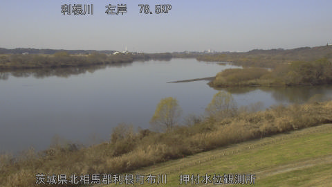 tonos2025121712_image