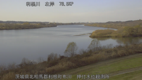 tonos2025121713_image