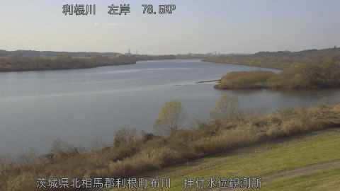 tonos2025121714_image