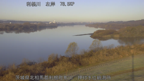 tonos2025121808_image