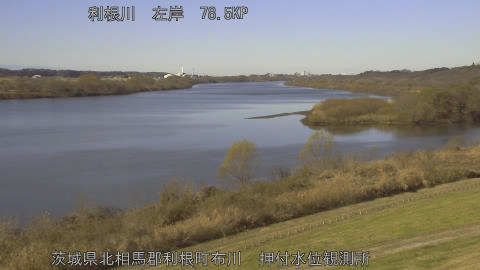 tonos2025121811_image