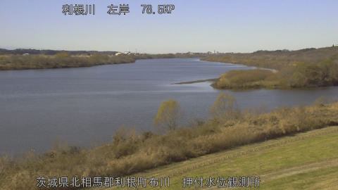 tonos2025121812_image