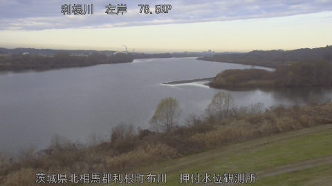 tonos2025121908_image