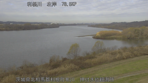 tonos2025121910_image