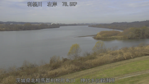 tonos2025121911_image