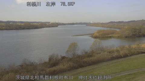 tonos2025121912_image