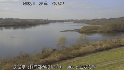 tonos2025121913_image