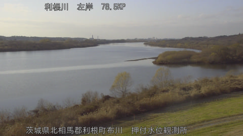 tonos2025121915_image