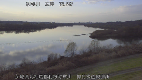 tonos2025121916_image