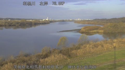 tonos2025122008_image