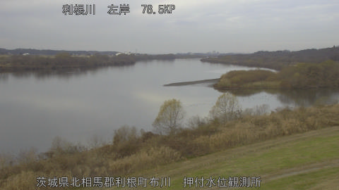 tonos2025122009_image