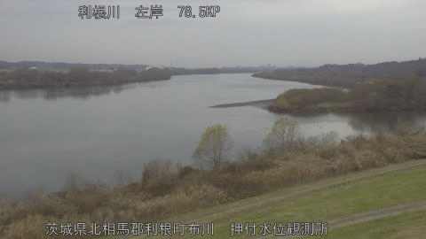 tonos2025122011_image