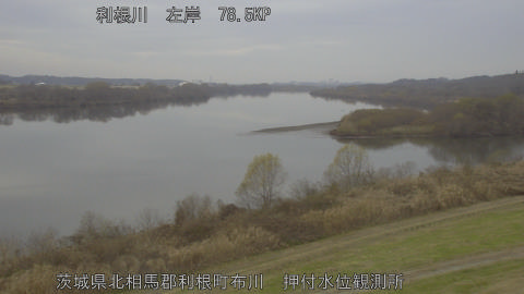 tonos2025122013_image