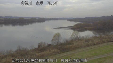 tonos2025122014_image