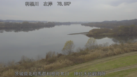 tonos2025122015_image