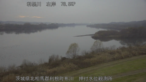 tonos2025122017_image