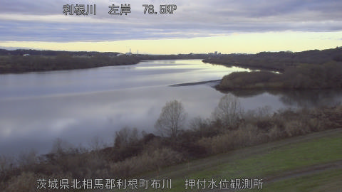 tonos2025122208_image