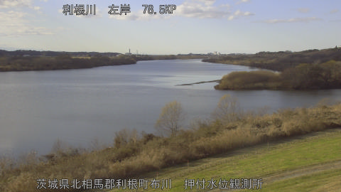 tonos2025122214_image