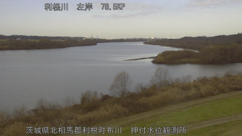 tonos2025122311_image