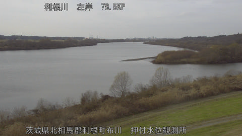 tonos2025122314_image