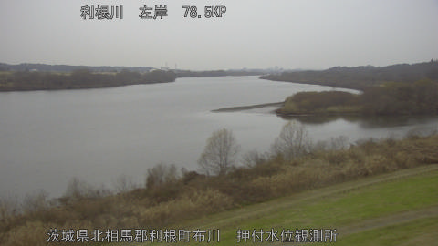 tonos2025122408_image