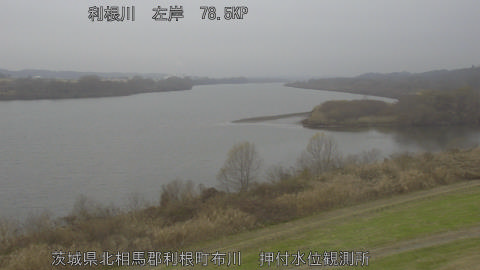 tonos2025122410_image