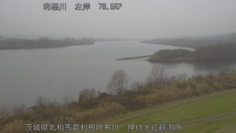 tonos2025122411_image