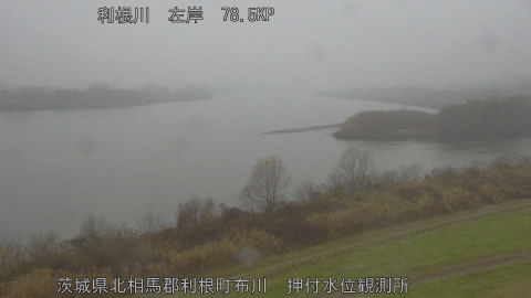 tonos2025122412_image