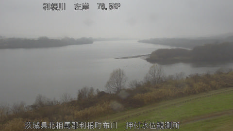 tonos2025122413_image