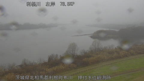 tonos2025122414_image