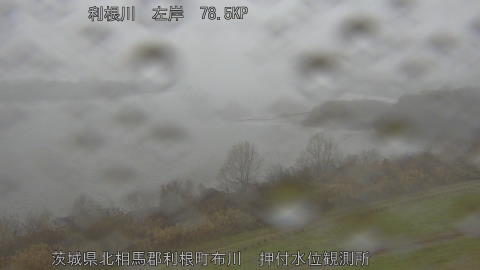 tonos2025122415_image