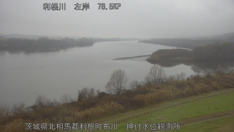 tonos2025122416_image