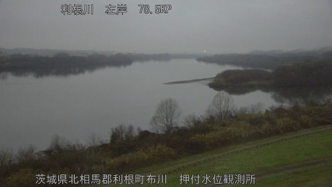 tonos2025122417_image