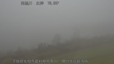 tonos2025122510_image