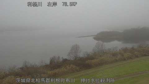 tonos2025122512_image