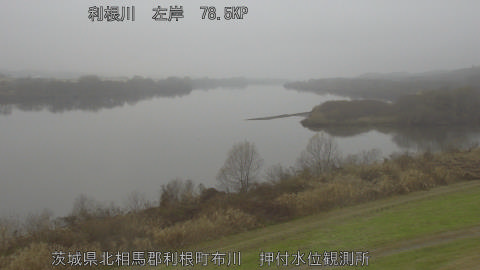 tonos2025122513_image