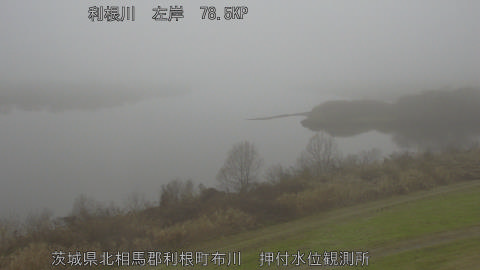 tonos2025122514_image