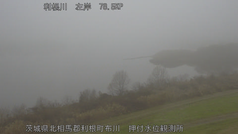 tonos2025122515_image