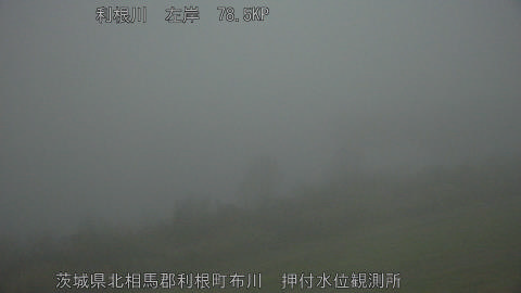 tonos2025122517_image