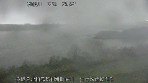 tonos2025122518_image