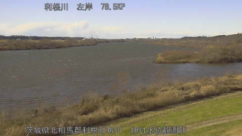 tonos2025122613_image