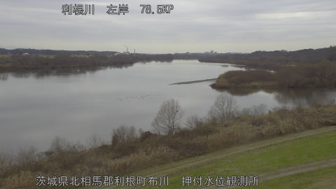 tonos2025122712_image