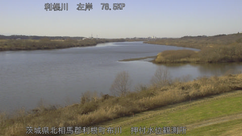 tonos2025122813_image