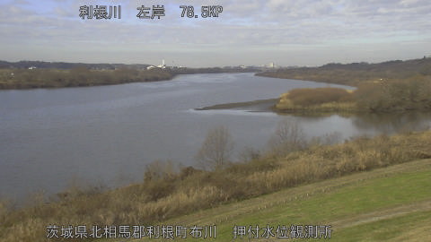 tonos2025122910_image