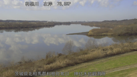 tonos2025122913_image