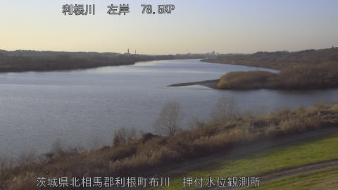 tonos2025122916_image