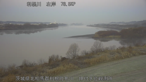 tonos2025123007_image