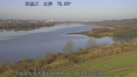 tonos2025123009_image