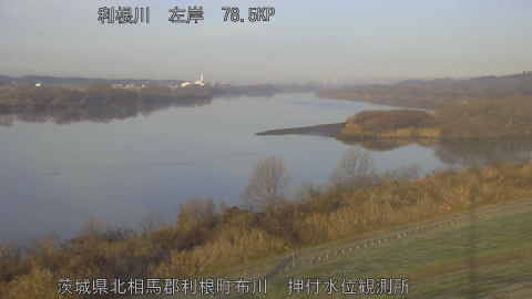 tonos2025123108_image