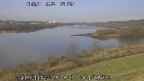 tonos2025123110_image